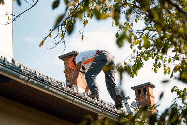 Gutter Installation and Roofing in Perezville, TX