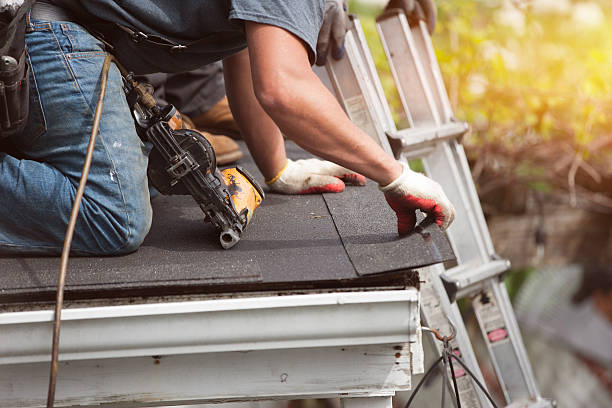 Best Roof Leak Repair  in Perezville, TX